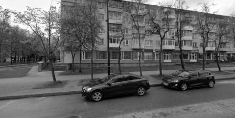 Daili šypsena